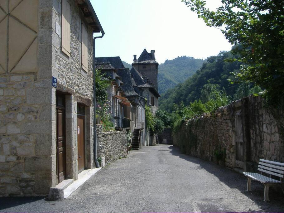 Vue Du Pont Appartement Entraygues-sur-Truyère Buitenkant foto