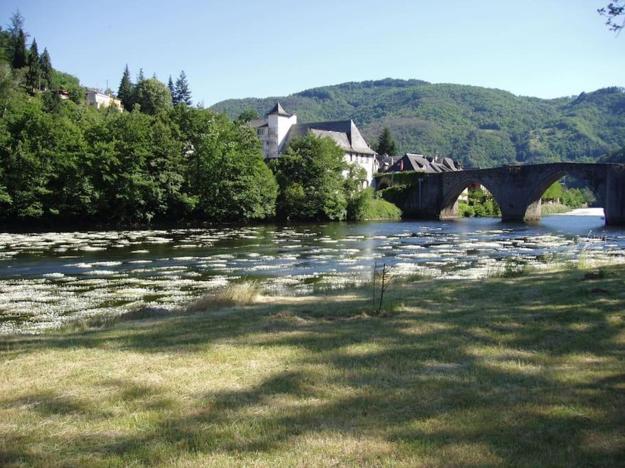 Vue Du Pont Appartement Entraygues-sur-Truyère Buitenkant foto