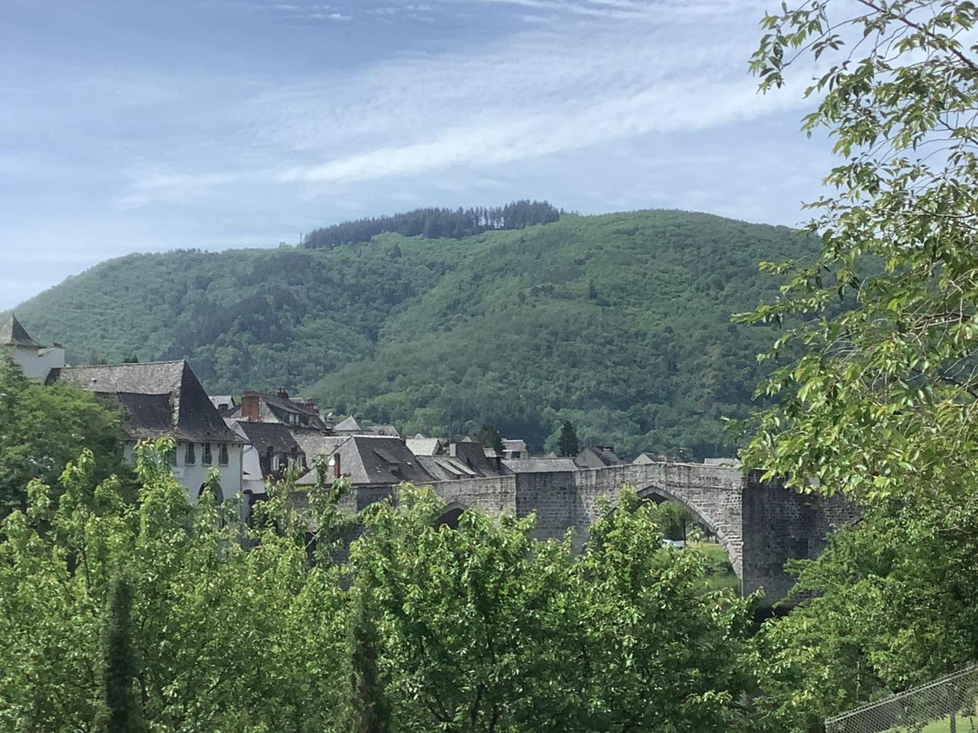 Vue Du Pont Appartement Entraygues-sur-Truyère Buitenkant foto